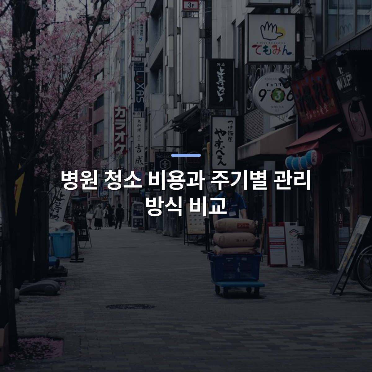 병원 청소 비용과 주기별 관리 방식 비교 · 사진: Street scene in Japan with cherry blossoms and a vendor pushing a cart on a city street.